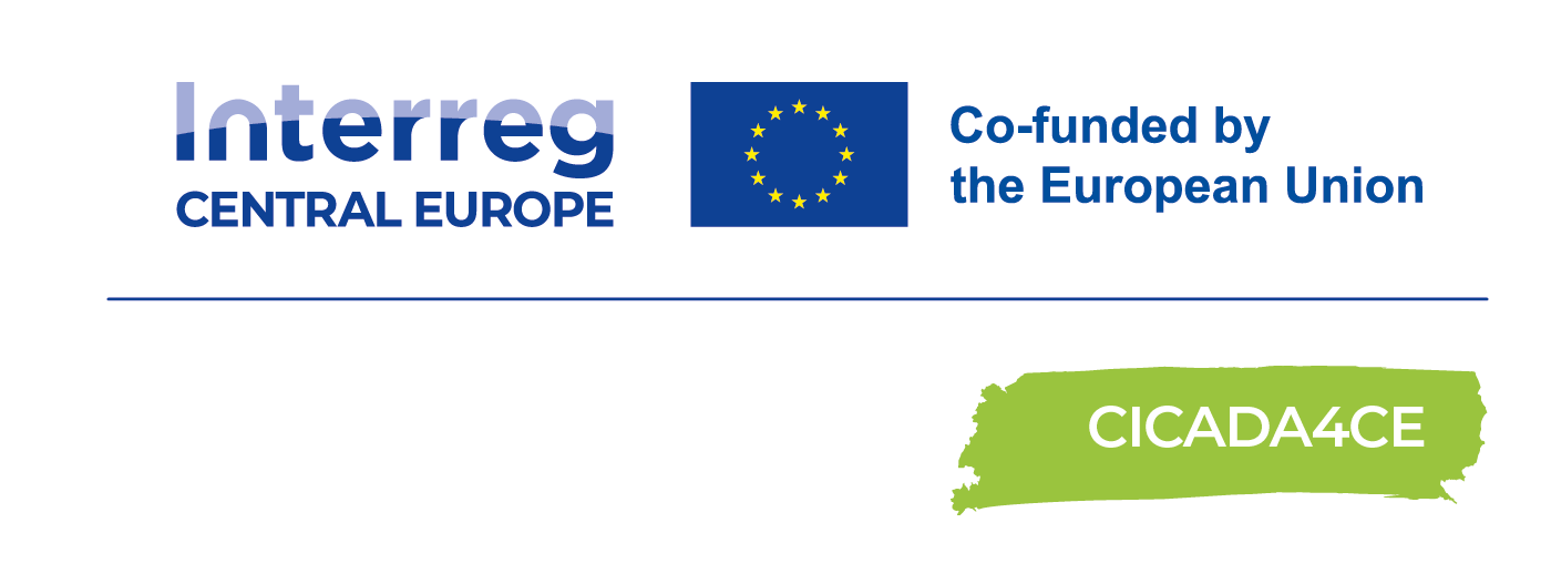 CICADA4CE logo